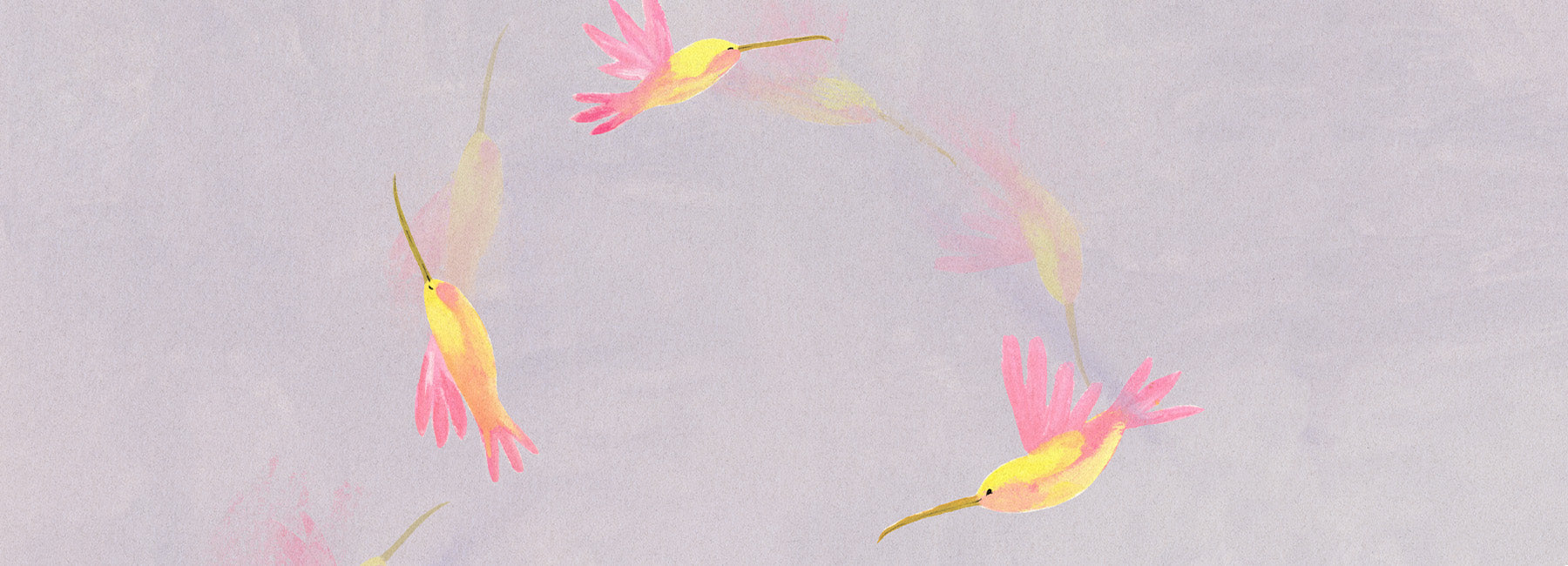 Knowledge Section Banner